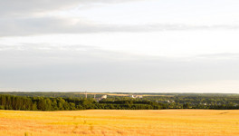 В Кирово-Чепецком районе сельхозпредприятия обработали почти 53 тысячи тонн зерна