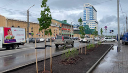 На перекрёстке Профсоюзной и Ленина в Кирове завершили озеленение