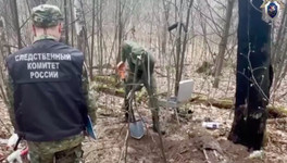 В лесу Кировской области раскопали труп