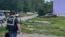 Кировчанина, который жестоко убил незнакомца в парке, признали невменяемым