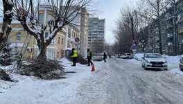 В центре Кирова будут проводить обрезку деревьев