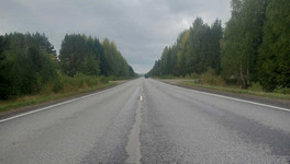 В Кировской области неизвестный сбил женщину насмерть и скрылся с места происшествия