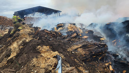 На Лесозаводской загорелись отходы на площади 300 кв. метров