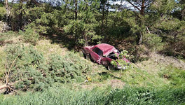 В Кировской области 18-летний бесправник на «ВАЗе» врезался в дерево: два человека погибли