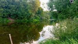 В Кировской области в пруду нашли тело мужчины