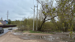 В слободе Санниковы из-под земли течет вода, которая затапливает огороды и дорогу