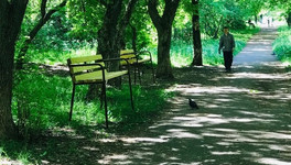 В парке у Дворца пионеров установят 12 новых скамеек