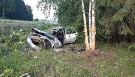 В пригороде Кирова автомобиль съехал в кювет и врезался в дерево. Пострадали четыре человека