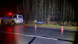 В Кикнурском районе погиб 28-летний водитель иномарки