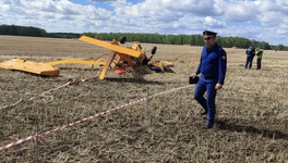 Под Омском разбился самолёт, погиб бывший лётчик из Котельнича