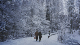 К выходным в Кировской области похолодает до -25 градусов