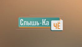 Поимка рыси и «зебрадискотека» в Кирове (Слышь-Ка Чё №24))