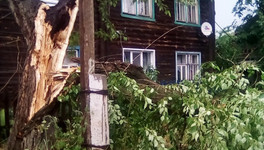 Из-за непогоды в 12 районах Кировской области оказались повреждены линии электропередач