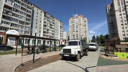 В сквере на Юровской высаживают деревья и кустарники