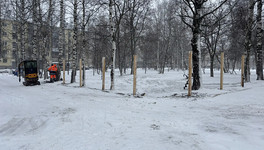 В Кирове начали готовить площадку для Аллеи Славы