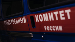 Директор ФСБ указал на «украинский след» в деле о теракте в «Крокусе»