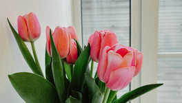 Кировские синоптики поделились прогнозом на начало весны