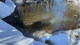 В Пасегово выясняют обстоятельства загрязнения реки Чахловицы