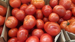 За ноябрь цены на помидоры в Кировской области снизились на 20%