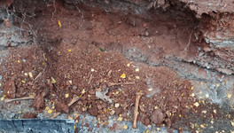 В Кирове во время ремонта теплосетей обнаружили человеческие кости