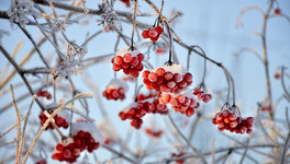 В Кировскую область могут прийти морозы до -27 градусов