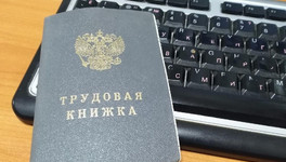 С 1 января россияне смогут устраиваться на работу с электронной трудовой книжкой