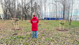 В Кирове проверили благоустройство Парка Победы за 35 млн рублей