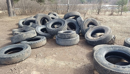 В Кирове нашли способ борьбы с нелегальными свалками шин