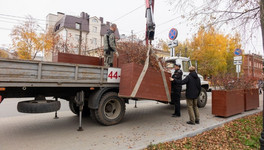 Кировское озеленение убирают на зимовку
