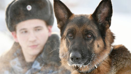 УФСИН Кировской области вновь раздаёт служебных собак