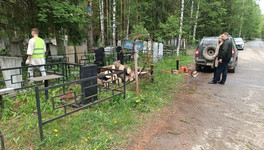 На Ново-Макарьевском кладбище сменится подрядчик из-за плохой работы