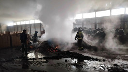 В Афанасьево на производстве древесного угля сгорели пеллеты
