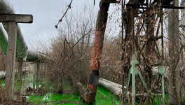 Кировчан удивила «зелёная жижа» на Луганской