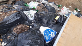 Прокуратура нашла больше 700 нарушений закона при вывозе мусора в Кировской области