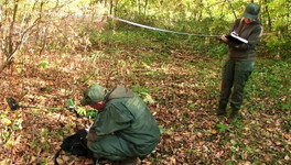 В Зуевском районе мужчина попал из ружья в другого охотника