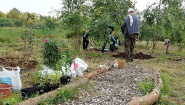 Активисты заложили сад на берегу Люльченки