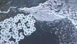 На реке Быстрице сняли на видео редкий блинчатый лёд