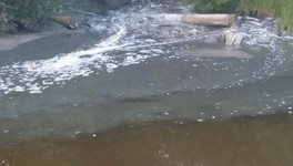 Крупное предприятие оштрафуют на 300 тысяч рублей за загрязнение реки Медянки