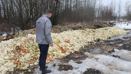 Предприятие из Истобенска могут оштрафовать за свалку отходов