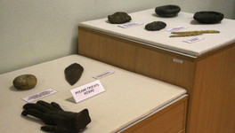 Кировчан приглашают посмотреть на археологическую находку возрастом около шести тысяч лет