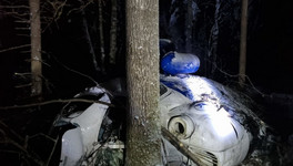 Рядом с границей Кировской области произошла авиакатастрофа. Есть жертвы
