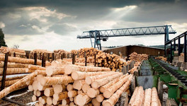 В Опаринском районе лесопромышленный комбинат задолжал работникам более 5 миллионов рублей