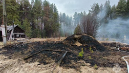 Кировчанам напомнили, куда звонить при обнаружении лесного пожара