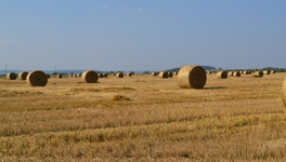 Сельхозпредприятия Уржумского СВЗ на 148% перевыполнили план по заготовке сена