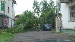 Помятые машины и упавшие деревья. Фото последствий урагана в Кирове и области