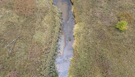По факту загрязнения реки Черняницы в Котельничском районе возбуждено уголовное дело
