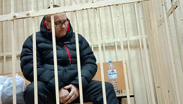 Отца брянской школьницы, которая устроила стрельбу в гимназии, заключили под стражу