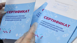 С 8 ноября в России начнут оформлять сертификат о вакцинации по-новому