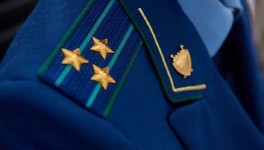 Житель Унинского района заплатит компенсацию за нападение собаки на ребёнка