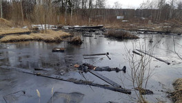 В Кировской области пенсионер утонул в огромной луже мазута
